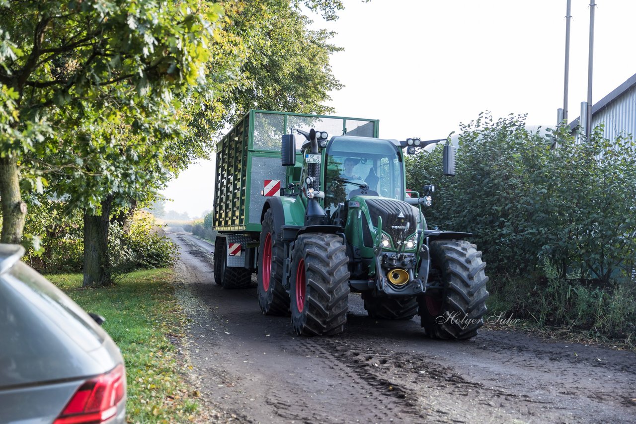 Bild 104 - Maisernte